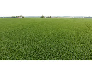 TRACTS 2-3 - IMPORTANT OHIO LAND AUCTION - 325.5+/- ACRES OFFERED IN 8 TRACTS IN PICKAWAY COUNTY, OHIO